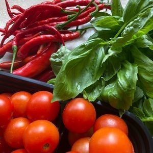 Meet your Posher, Chantana